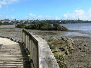 Walks in Auckland