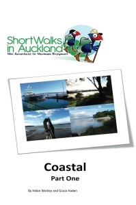 coastal walksin Auckland part one