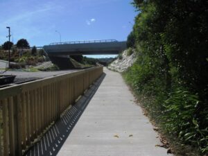 Orakei basin walkway