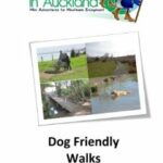 P1 Dog friendly walks in Auckland