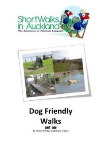 Dog friendly walks in Auckland - part one