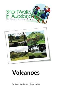12 Volcano Walks