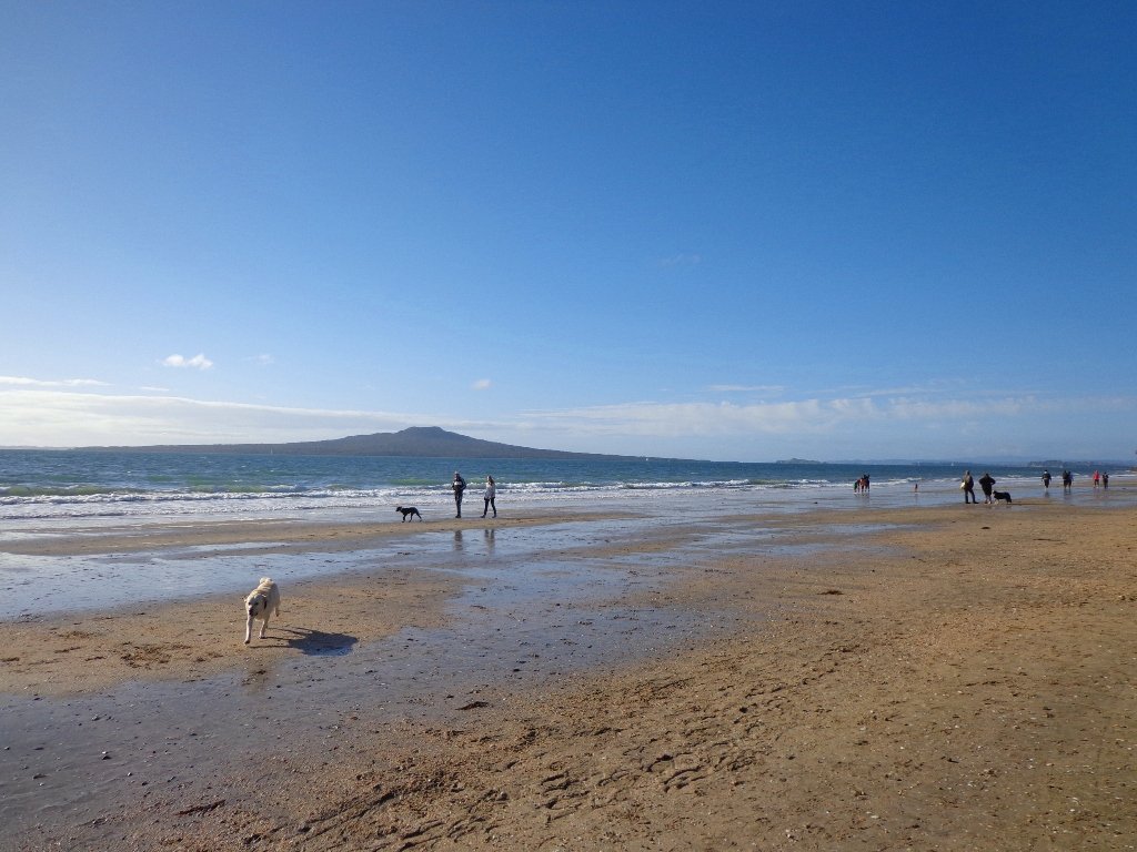 Takapuna Beach Auckland Copyright Unleashed Ventures Limited 2013