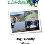 P2 Dog friendly walks in Auckland