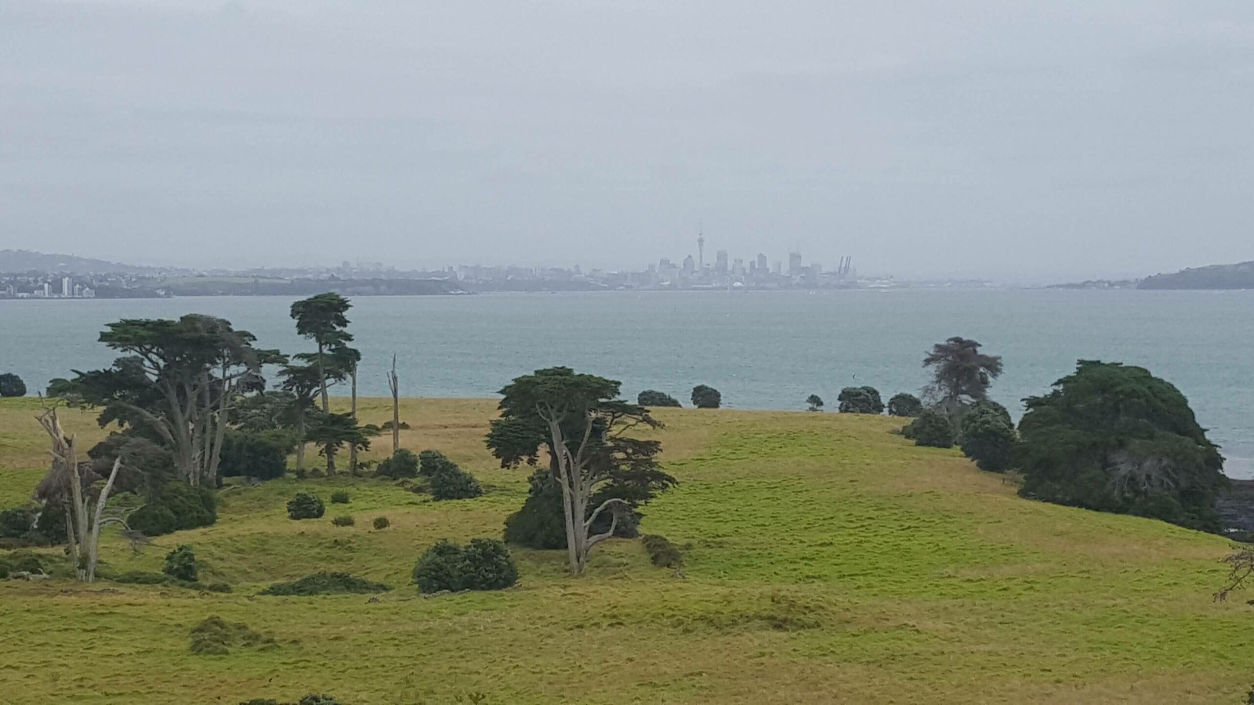Browns Island Auckland View