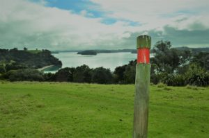 The red markers indicate the Cudlip Point Mahurangi track